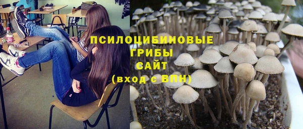 первитин Арсеньев