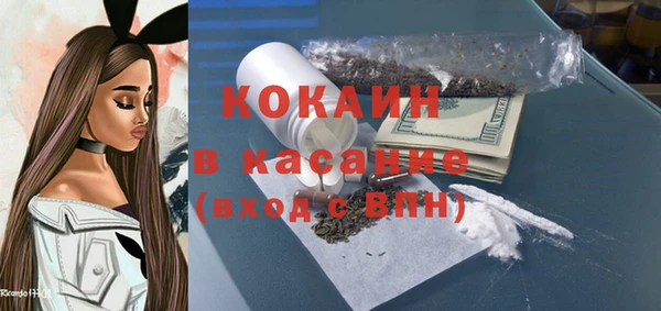 мет Алексин